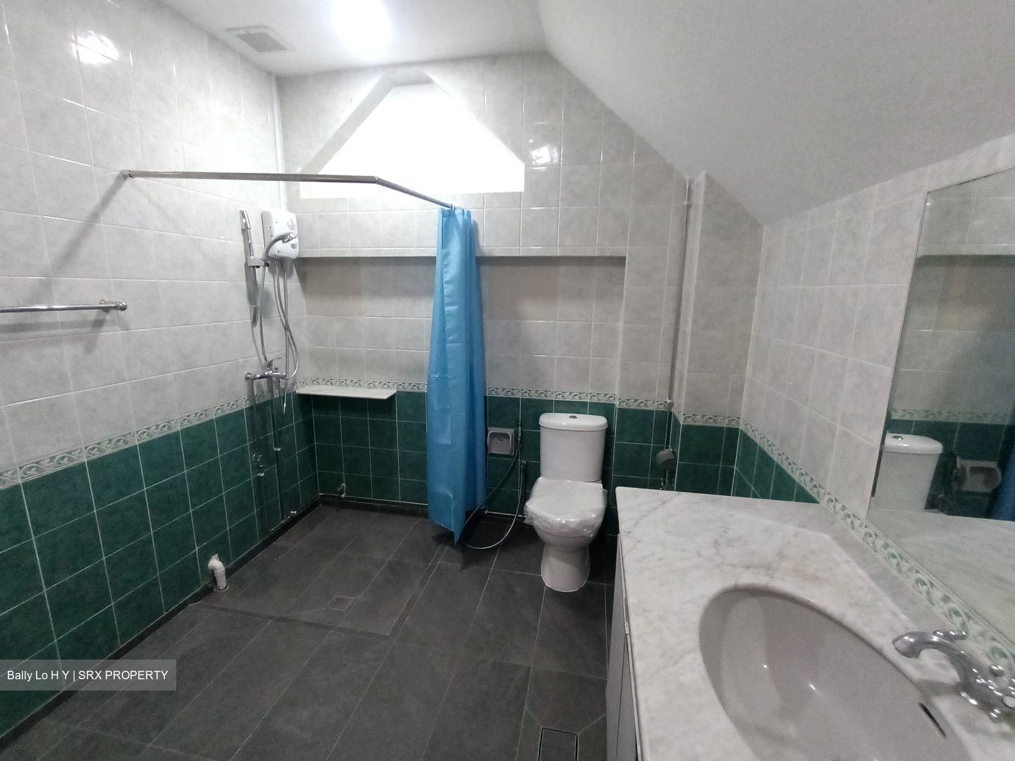 Ponggol Park (D19), Detached #633389651